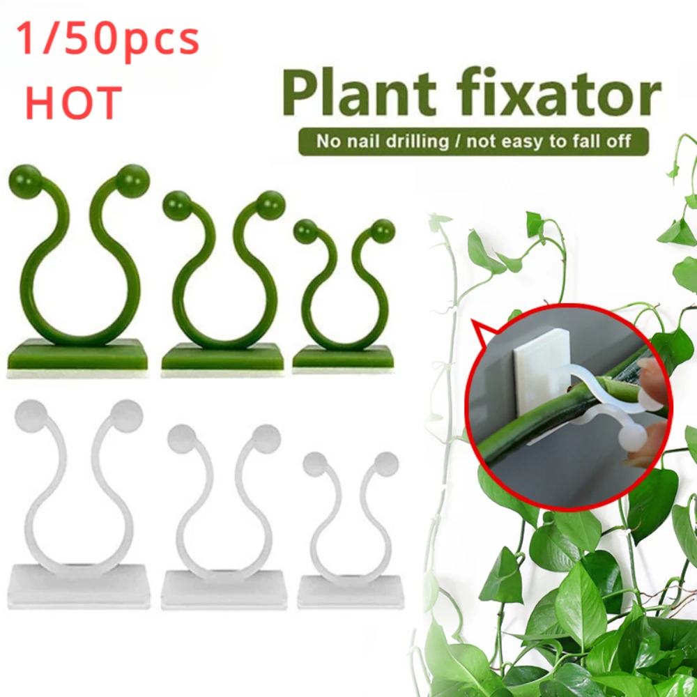 Plant Parents - 1/30/50 pçs para acessórios de jardim