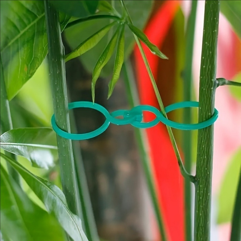 Kit de Suporte para Plantas de - Plant Parent Kit avaliação e preço