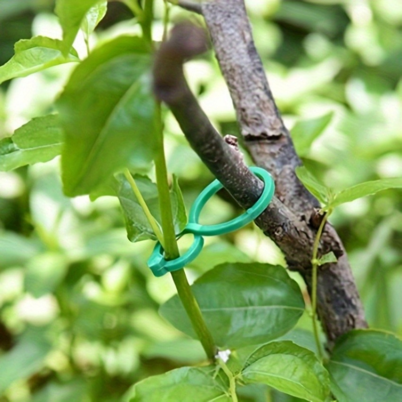Kit de Suporte para Plantas de - Plant Parent Kit avaliação e preço