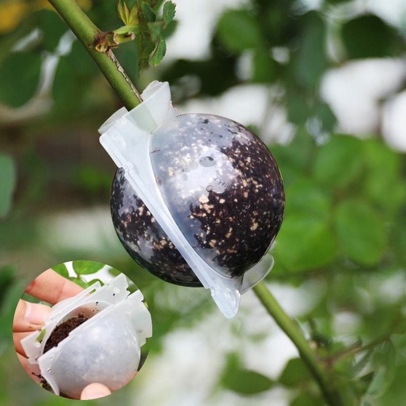 5/30 Peças Caixa de Enraizamen - Plant Parents avaliação e preço