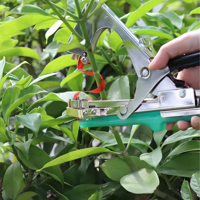 Máquina de Amarrar Galhos de P - Plant Parent Kit avaliação e preço