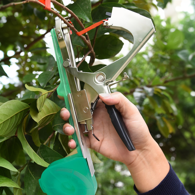 Máquina de Amarrar Galhos de P - Plant Parent Kit avaliação e preço
