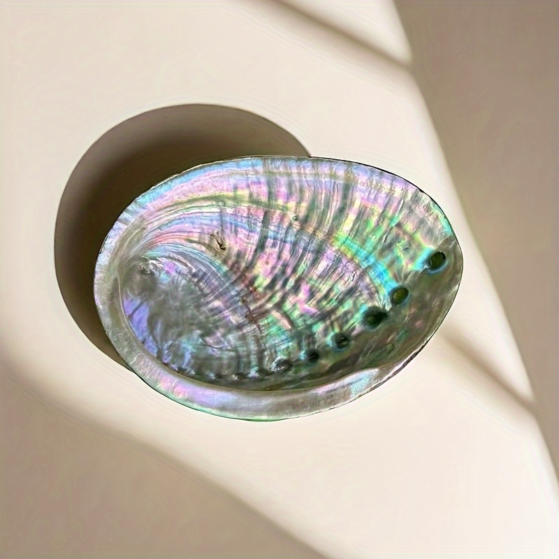 Vasos de Concha de Abalone, Or - Plant Parents avaliação e preço