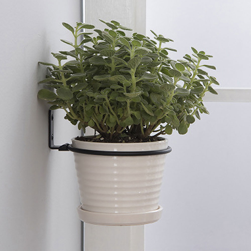 Bandejas para vasos de flores, - Plant Parents avaliação e preço