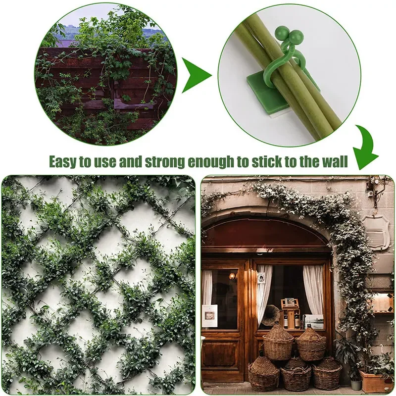 1/30/50 pçs para acessórios de - Plant Parents avaliação e preço