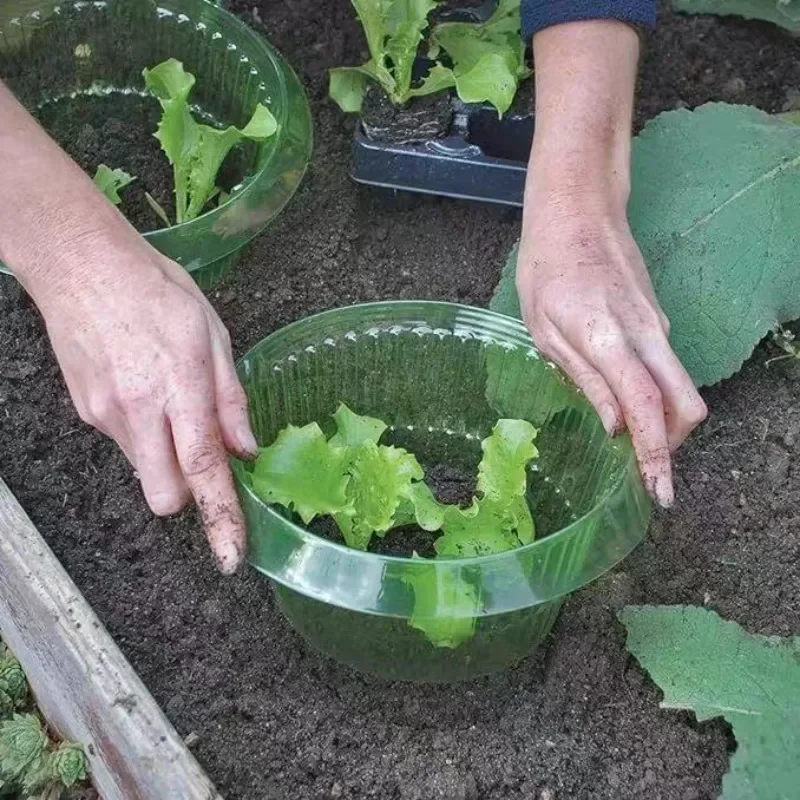 Plantas slug proteção anéis le - Plant Parents avaliação e preço